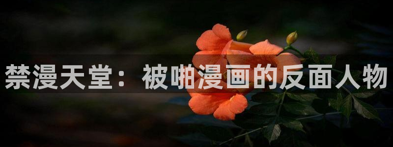 age樱花动漫