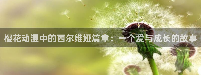 禁漫天堂下载网