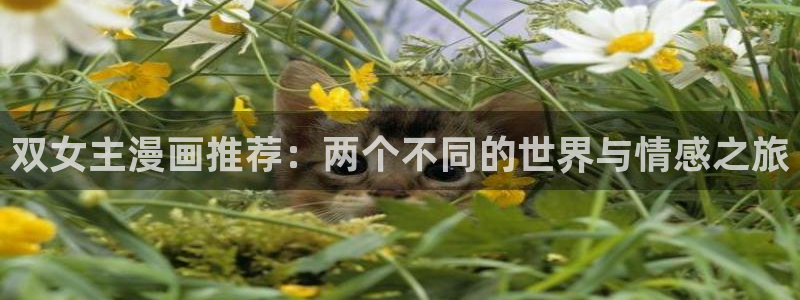 禁漫天堂网上看