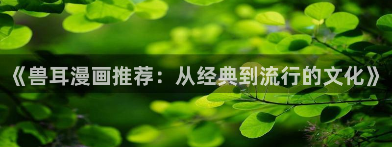 禁漫天堂官网版入口