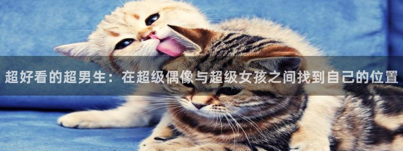 禁漫天堂网