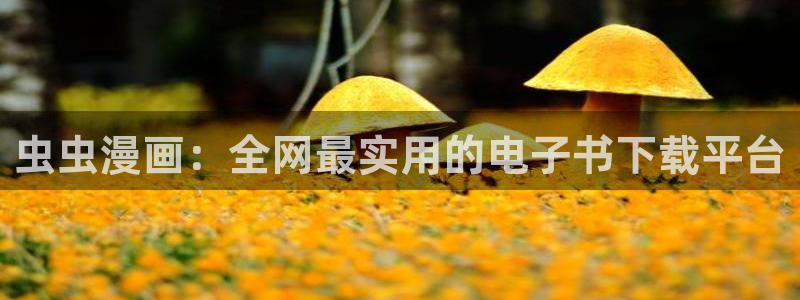 禁漫天堂网