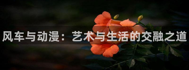 stagenehind韩漫免费观看：风车与动漫：艺术与生活的交融之道