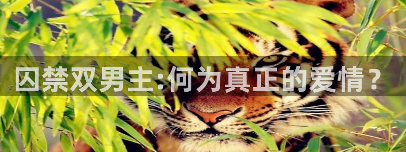 韩国漫画平台kakaopage：囚禁双男主:何为真正的爱情？