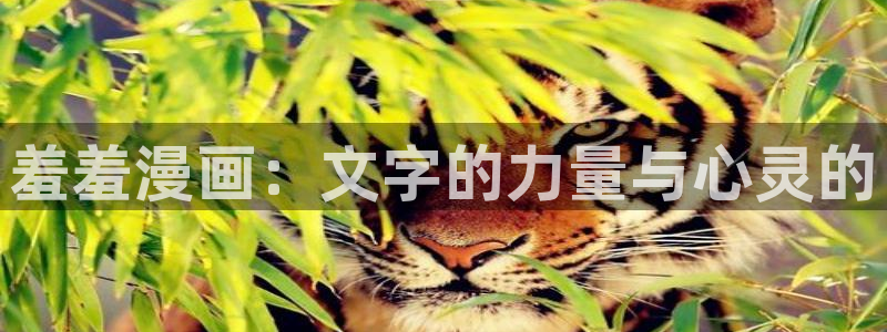 禁漫天堂下载入口：羞羞漫画：文字的力量与心灵的