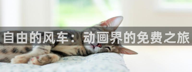 禁漫天堂下载动漫全免费：自由的风车：动画界的免费之旅