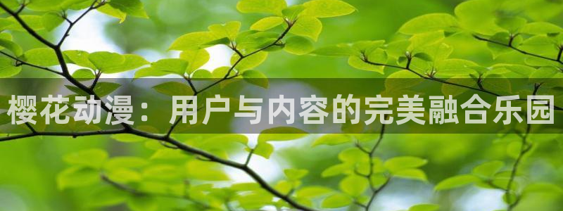 禁漫天堂：樱花动漫：用户与内容的完美融合乐园